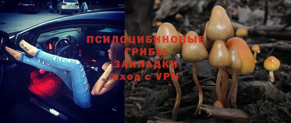 шишки Алзамай